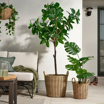 Ikea Flodbjörk Plant Pot, Indoor/outdoor Light Gray-brown, 16 ¼ "