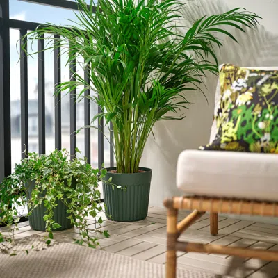 Ikea Fräkenväxt Plant Pot, Indoor/outdoor/deep Green, 9 ½ "