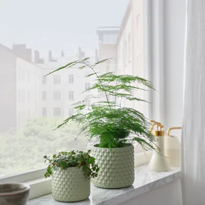 Ikea Glaciärbjörn Plant Pot, Light Green, 3 ½ "