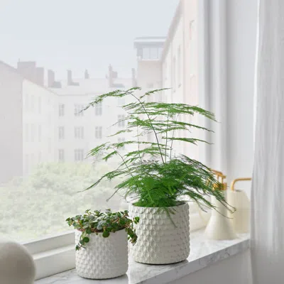 Ikea Glaciärbjörn Plant Pot, White, 3 ½ "