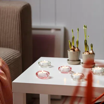 Ikea Glimma Unscented Tealights, 4 Hr