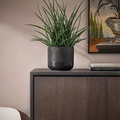 Ikea Gradvis Plant Pot, Indoor/outdoor Black, 6 "