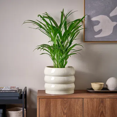 Ikea Hasselbukett Plant Pot, Indoor/outdoor/beige, 7 ½ "