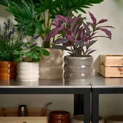 Ikea Hasselbukett Plant Pot, Indoor/outdoor/gray, 6 "