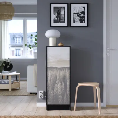 Ikea Högbo Glass Door, Black, 15 1/2x38 1/4 "