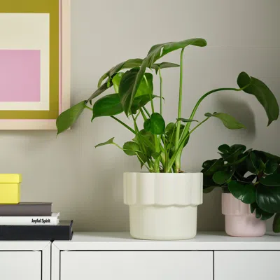 Ikea Hängsälg Plant Pot, Off-white, 6 "