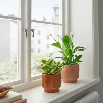 Ikea Honungspalm Plant Pot, Indoor/outdoor/brown, 4 ¾ "