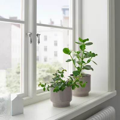 Ikea Honungspalm Plant Pot, Indoor/outdoor/gray/beige, 4 ¾ "