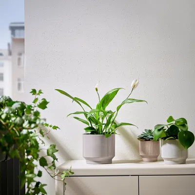 Ikea Honungspalm Plant Pot, Indoor/outdoor/gray/beige, 6 "