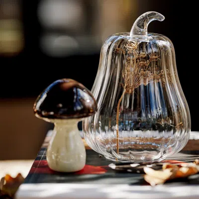 Ikea Höstagille Glass Dome, Clear Glass, 6 "