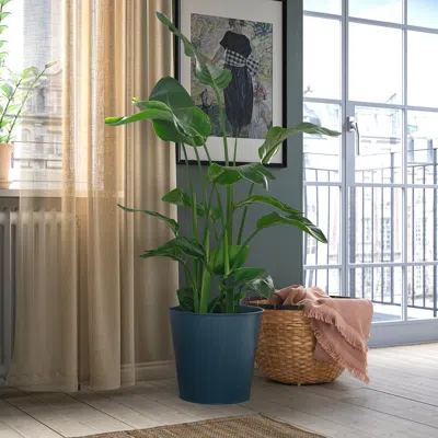 Ikea Åkerbär Plant Pot, Indoor/outdoor Dark Blue, 12 ½ "