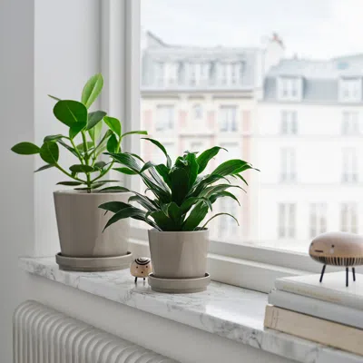 Ikea Klotlönn Plant Pot With Saucer, Indoor/outdoor/gray/beige, 6 "