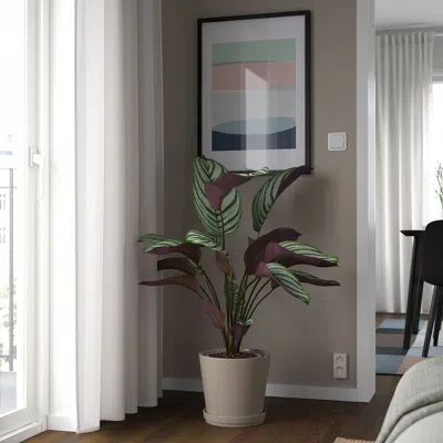 Ikea Klotlönn Plant Pot With Saucer, Indoor/outdoor/gray/beige, 9 ½ "