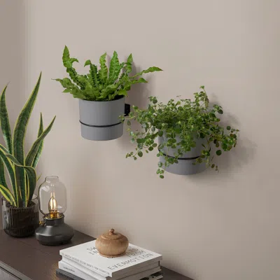 Ikea Klotthuja Plant Pot Holder, Indoor/outdoor Black, 6 "