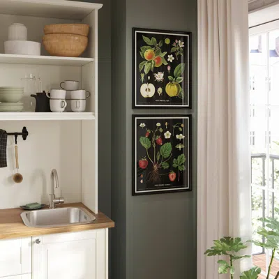 Ikea Knoppäng Frame With Poster, Vintage Botanical Fruit Charts, 16 ¼x20 "