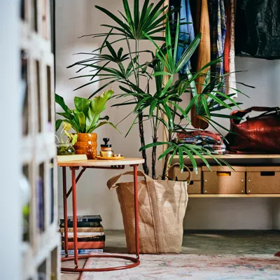 Ikea Kompishäng Plant Pot, Jute, 13 " In Neutral