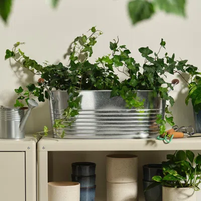 Ikea Korkgran Plant Pot, Indoor/outdoor/galvanized, 10 ¾x22 ¾ "