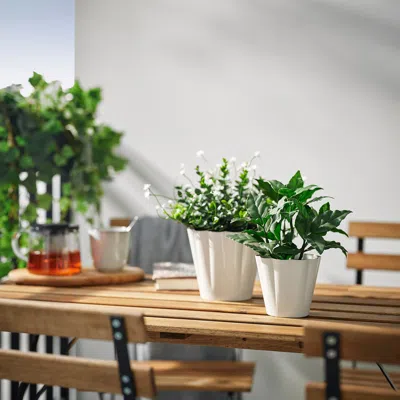 Ikea Kvastspirea Plant Pot, Indoor/outdoor/off-white, 3 ½ "