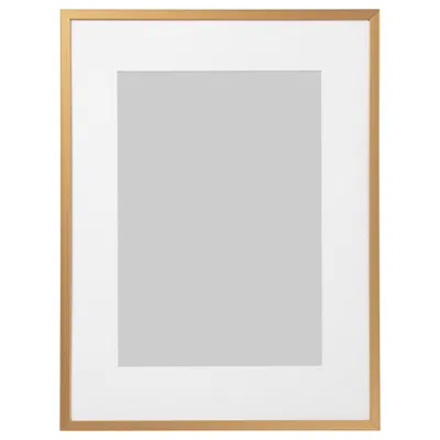 Ikea Lomviken Frame, Gold, 12x16 " In Neutral