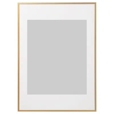 Ikea Lomviken Frame, Gold, 19 ¾x27 ½ "