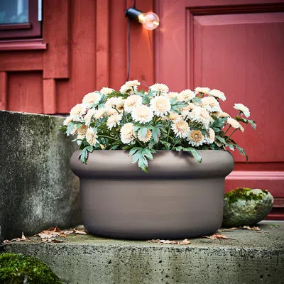 Ikea Måbärsbuske Plant Pot, Outdoor Dark Beige, 17 ¼ " In Multi