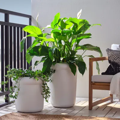 Ikea Måbärsbuske Plant Pot, Outdoor/off-white, 12 ¼ "