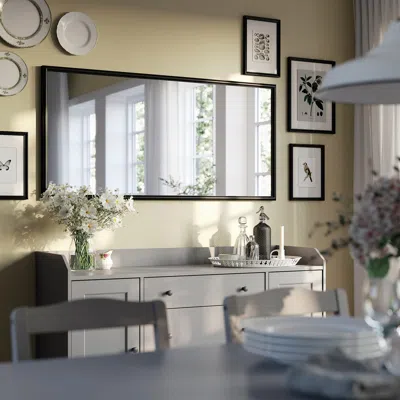 Ikea Nyponbuske Mirror, Black, 25 5/8x53 1/8 "