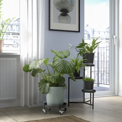 Ikea Olivblad Plant Stand On Wheels, Indoor/outdoor Dark Gray, 12 ½ "