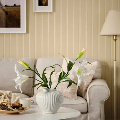 Ikea Pelarbjörk Vase, White, 7 ¾ "
