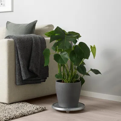 Ikea Persillade Plant Pot, Dark Gray, 7 ½ "