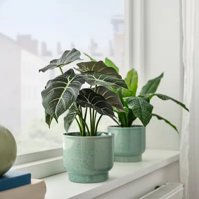 Ikea Sammetssyren Plant Pot, Indoor/outdoor/light Green, 4 ¾ "