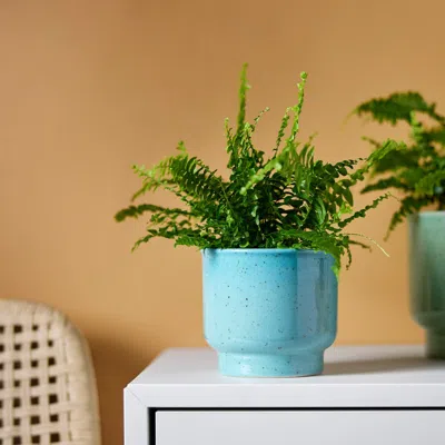 Ikea Sammetssyren Plant Pot, Indoor/outdoor/turquoise, 3 ½ " In Blue