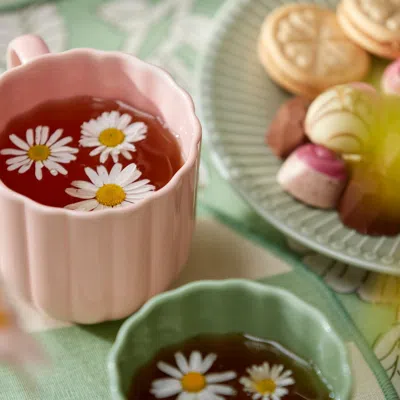 Ikea Smörfisk Mug, Light Green/pink, 11 oz