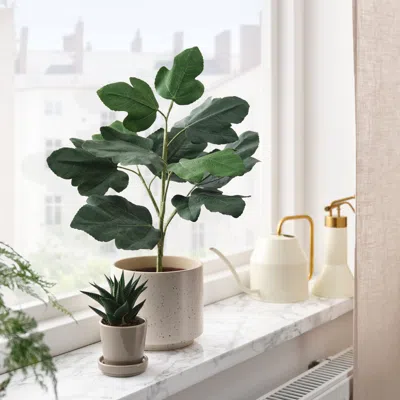 Ikea Småtärna Artificial Potted Plant, Paper/fig, 4 ¾ "