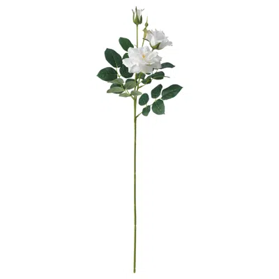 Ikea Smycka Artificial Flower, Indoor/outdoor/rose White, 25 ½ "