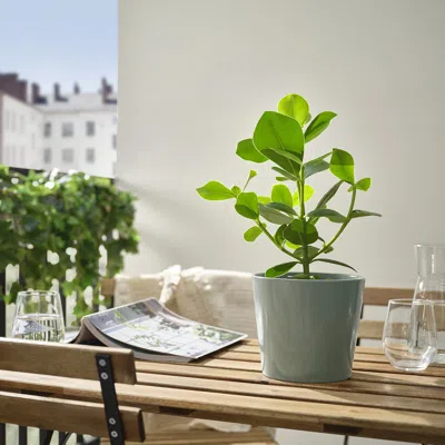 Ikea Sojaböna Plant Pot, Gray/green, 6 "