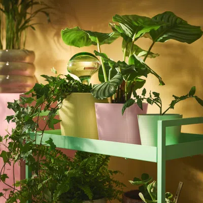 Ikea Sojaböna Plant Pot, Light Green, 3 ½ "