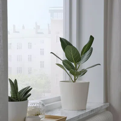 Ikea Sojaböna Plant Pot, White, 6 "
