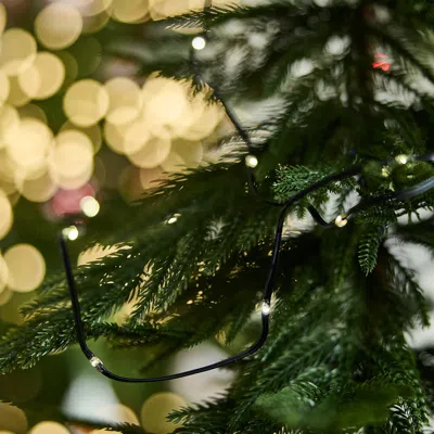Ikea Stråla Led Lighting Chain, Battery Operated/outdoor Black, Length To 1st Light: 1 ' 8 " In Green