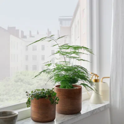Ikea Svarthätta Plant Pot, Mango Wood, 4 ¾ " In Brown