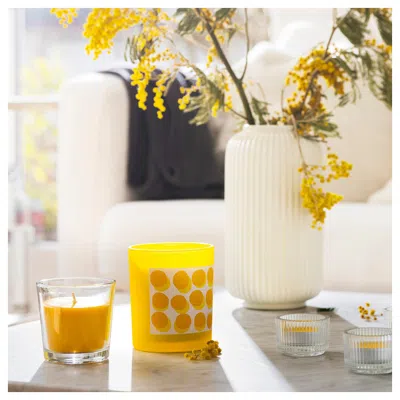 Ikea Svartoxbär Scented Candle In Glass, Mimosa/yellow, 25 Hr In Orange