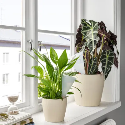 Ikea Svämskog Self-watering Insert, Terracotta/transparent, 8 oz
