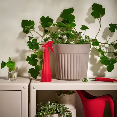 Ikea Tomat Spray Bottle, Bright Red, 12 oz