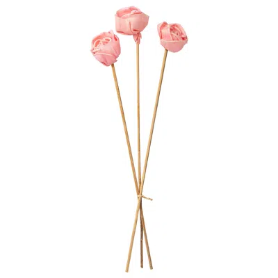 Ikea Torka Dried Parts Of Flowers/plants, Pink