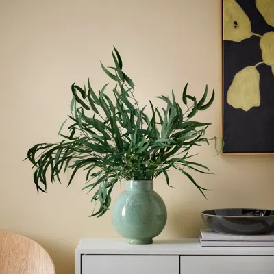 Ikea Torka Dried Plants, Bunch/green, 28 "
