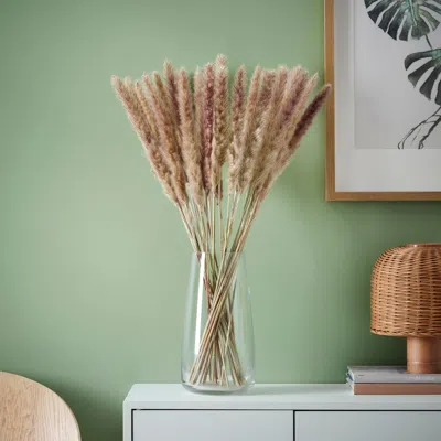 Ikea Torka Dried Plants, Bunch/reed, 28 "
