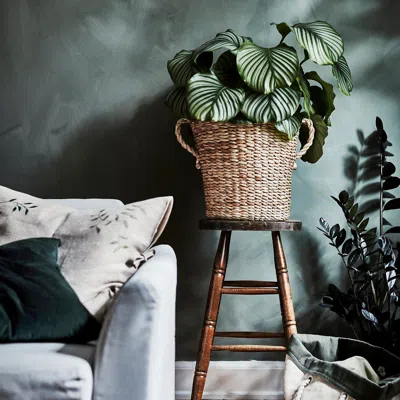 Ikea Törnbär Plant Pot, Banana Fiber Handmade, 12 ½ "