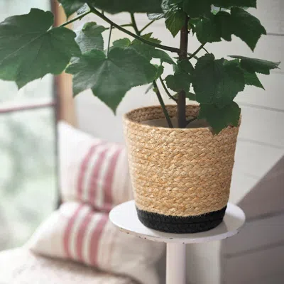 Ikea Tärnmås Plant Pot, Indoor/beige/black, 6 " In Brown
