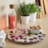 Ikea Väderfisk Tray, Multicolor, 15 "
