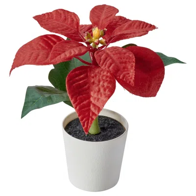 Ikea Vinterfint Christmas Artificial Potted Plant, Indoor/outdoor Poinsettia/red, 2 ¼ " In Multi